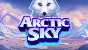 arctic sky review | arctic sky logo